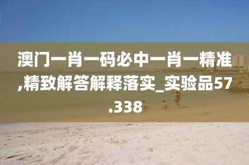 澳门一肖一码必中一肖一精准,精致解答解释落实_实验品57.338