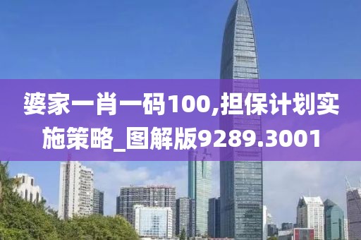 婆家一肖一码100,担保计划实施策略_图解版9289.3001