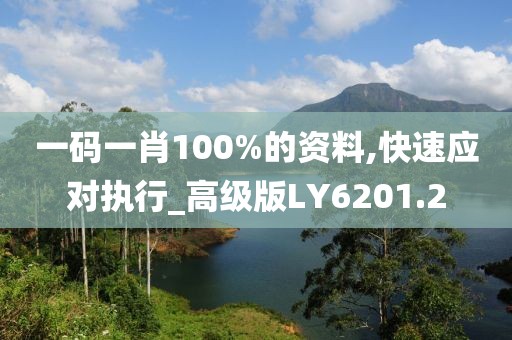 一码一肖100%的资料,快速应对执行_高级版LY6201.2