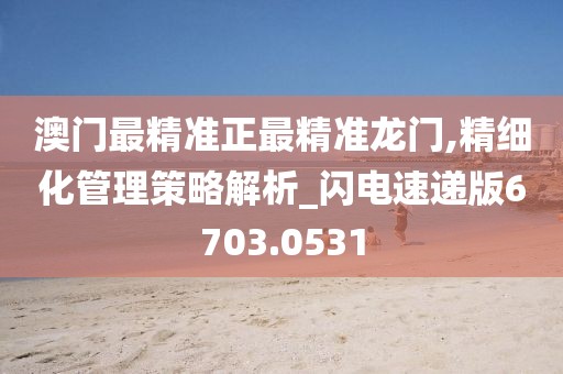 澳门最精准正最精准龙门,精细化管理策略解析_闪电速递版6703.0531