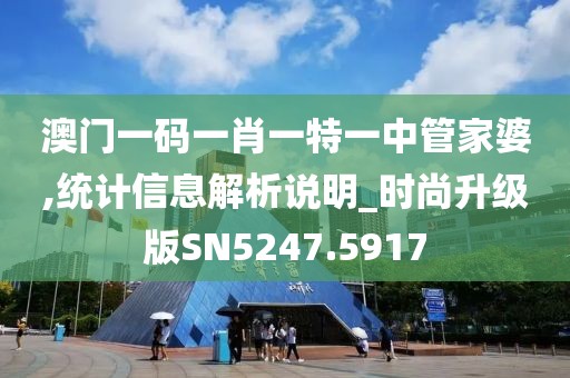 澳门一码一肖一特一中管家婆,统计信息解析说明_时尚升级版SN5247.5917