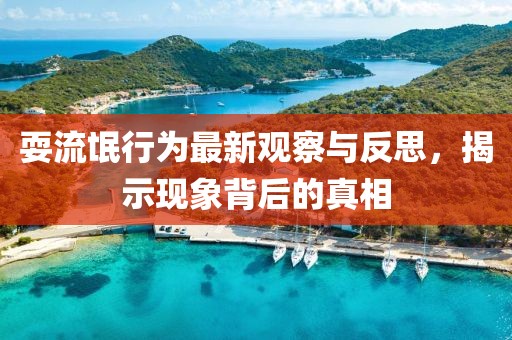 耍流氓行为最新观察与反思，揭示现象背后的真相
