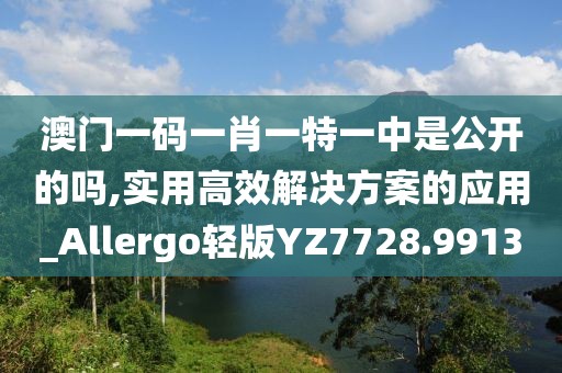 澳门一码一肖一特一中是公开的吗,实用高效解决方案的应用_Allergo轻版YZ7728.9913