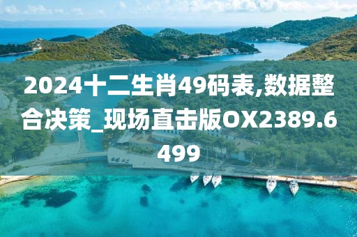 2024十二生肖49码表,数据整合决策_现场直击版OX2389.6499