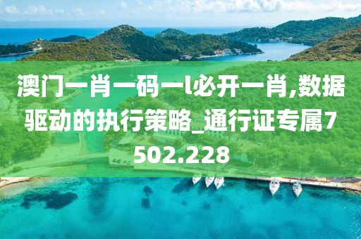 澳门一肖一码一l必开一肖,数据驱动的执行策略_通行证专属7502.228