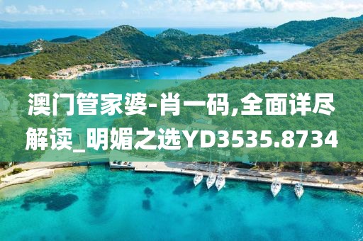 澳门管家婆-肖一码,全面详尽解读_明媚之选YD3535.8734