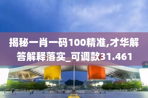揭秘一肖一码100精准,才华解答解释落实_可调款31.461