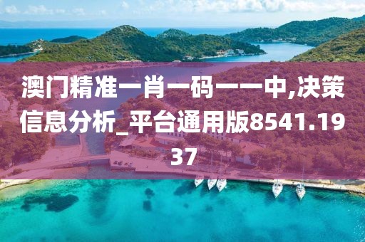 澳门精准一肖一码一一中,决策信息分析_平台通用版8541.1937