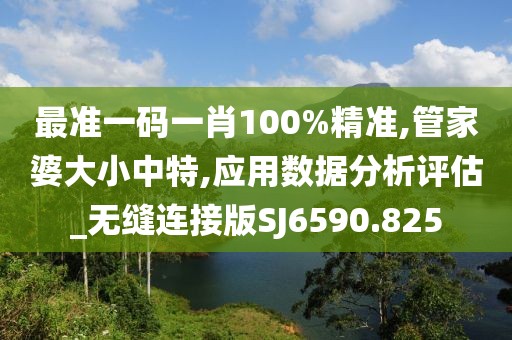 最准一码一肖100%精准,管家婆大小中特,应用数据分析评估_无缝连接版SJ6590.825