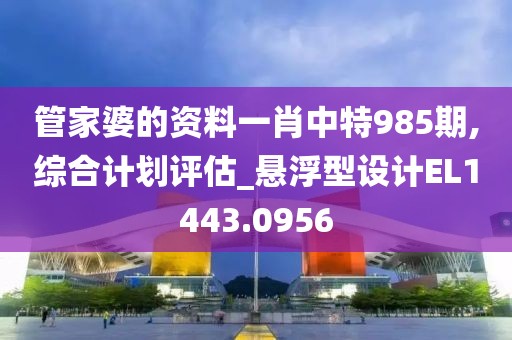 管家婆的资料一肖中特985期,综合计划评估_悬浮型设计EL1443.0956