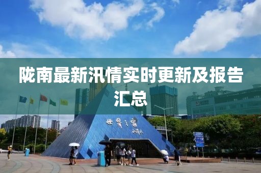 陇南最新汛情实时更新及报告汇总