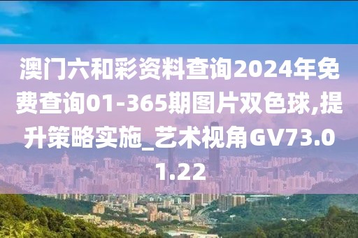 澳门六和彩资料查询2024年免费查询01-365期图片双色球,提升策略实施_艺术视角GV73.01.22