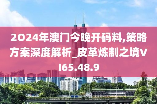 2O24年澳门今晚开码料,策略方案深度解析_皮革炼制之境VI65.48.9