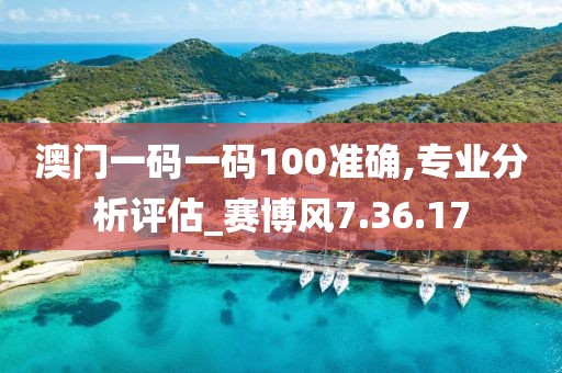 澳门一码一码100准确,专业分析评估_赛博风7.36.17