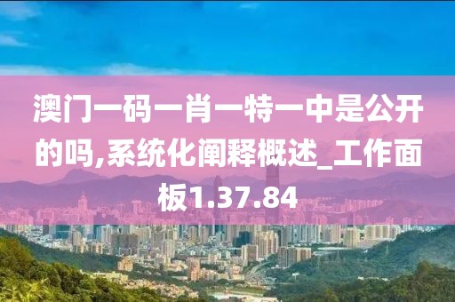 澳门一码一肖一特一中是公开的吗,系统化阐释概述_工作面板1.37.84