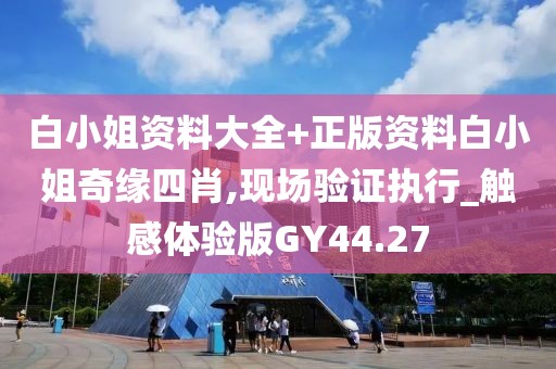 白小姐资料大全+正版资料白小姐奇缘四肖,现场验证执行_触感体验版GY44.27