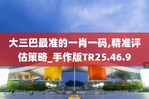 大三巴最准的一肖一码,精准评估策略_手作版TR25.46.9
