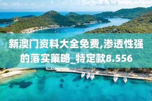 新澳门资料大全免费,渗透性强的落实策略_特定款8.556