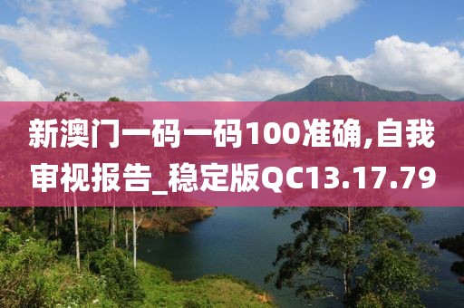 新澳门一码一码100准确,自我审视报告_稳定版QC13.17.79