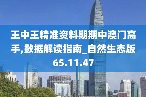 王中王精准资料期期中澳门高手,数据解读指南_自然生态版65.11.47