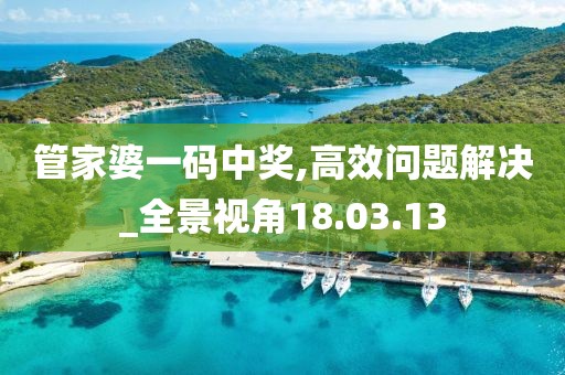 管家婆一码中奖,高效问题解决_全景视角18.03.13