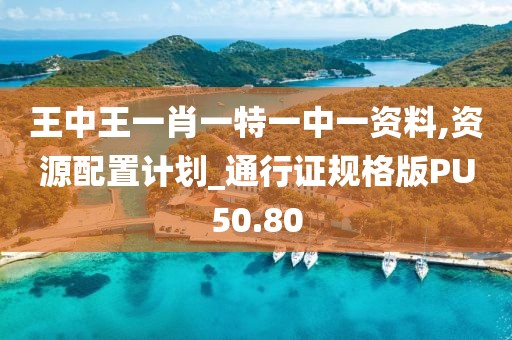 王中王一肖一特一中一资料,资源配置计划_通行证规格版PU50.80