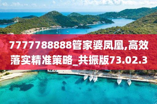 7777788888管家婆凤凰,高效落实精准策略_共振版73.02.30