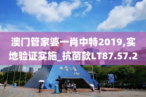 澳门管家婆一肖中特2019,实地验证实施_抗菌款LT87.57.20