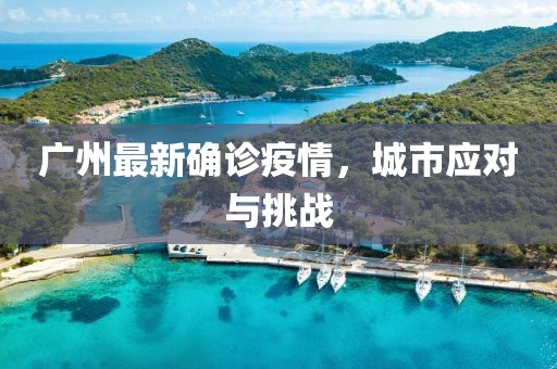 广州最新确诊疫情，城市应对与挑战