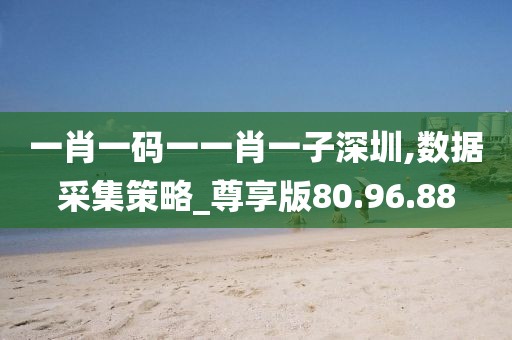 一肖一码一一肖一子深圳,数据采集策略_尊享版80.96.88