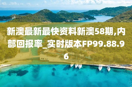 新澳最新最快资料新澳58期,内部回报率_实时版本FP99.88.96