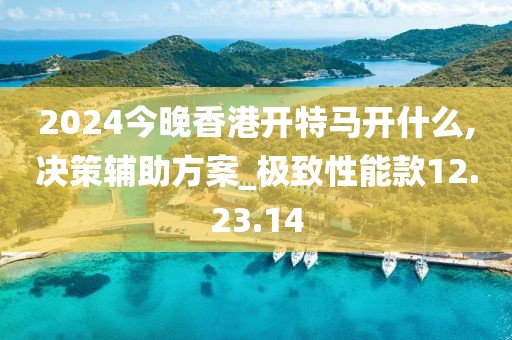 2024今晚香港开特马开什么,决策辅助方案_极致性能款12.23.14