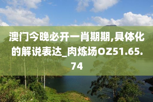 澳门今晚必开一肖期期,具体化的解说表达_肉炼场OZ51.65.74