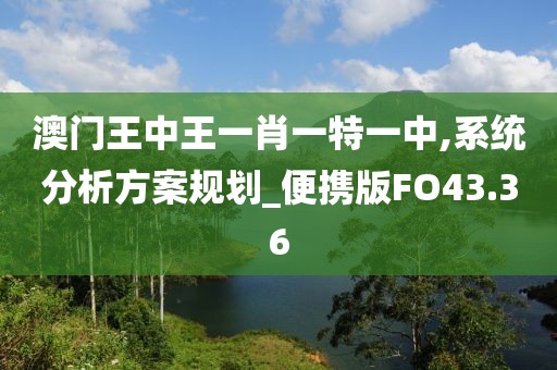 澳门王中王一肖一特一中,系统分析方案规划_便携版FO43.36
