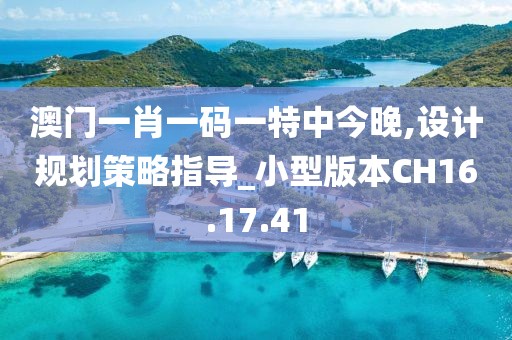 澳门一肖一码一特中今晚,设计规划策略指导_小型版本CH16.17.41