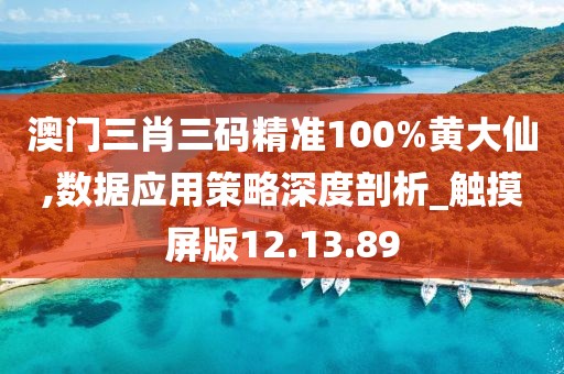 澳门三肖三码精准100%黄大仙,数据应用策略深度剖析_触摸屏版12.13.89
