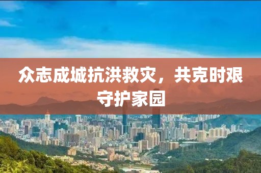 众志成城抗洪救灾，共克时艰守护家园