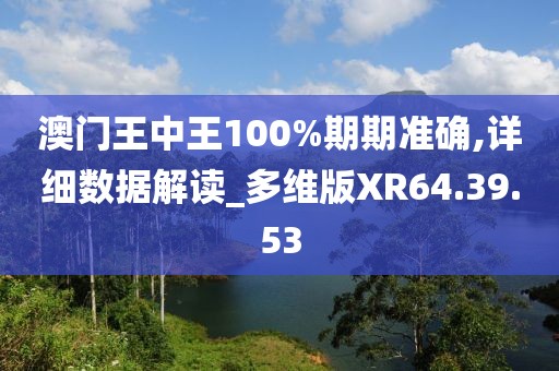澳门王中王100%期期准确,详细数据解读_多维版XR64.39.53