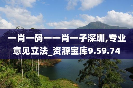一肖一码一一肖一子深圳,专业意见立法_资源宝库9.59.74