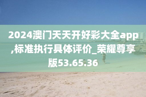 2024澳门天天开好彩大全app,标准执行具体评价_荣耀尊享版53.65.36