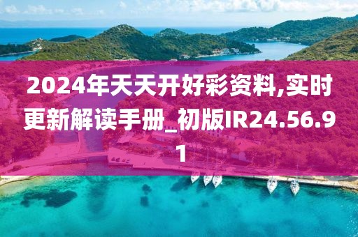 2024年天天开好彩资料,实时更新解读手册_初版IR24.56.91