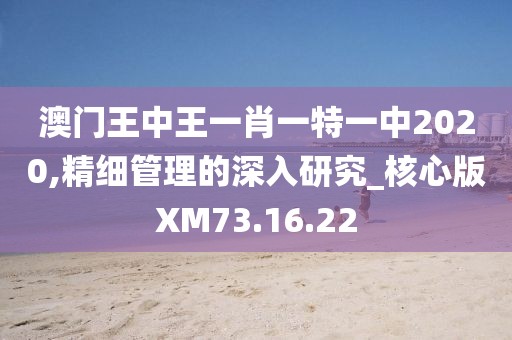 澳门王中王一肖一特一中2020,精细管理的深入研究_核心版XM73.16.22