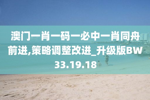 澳门一肖一码一必中一肖同舟前进,策略调整改进_升级版BW33.19.18