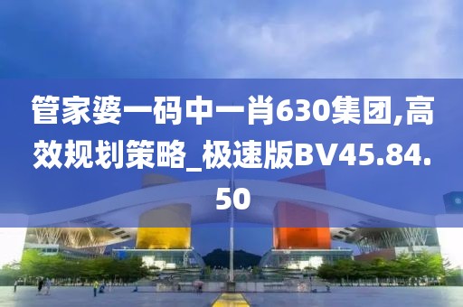 管家婆一码中一肖630集团,高效规划策略_极速版BV45.84.50
