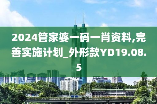 2024管家婆一码一肖资料,完善实施计划_外形款YD19.08.5