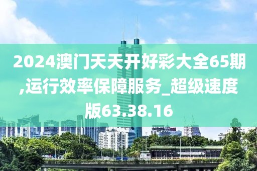 2024澳门天天开好彩大全65期,运行效率保障服务_超级速度版63.38.16