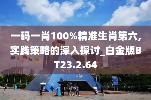 一码一肖100%精准生肖第六,实践策略的深入探讨_白金版BT23.2.64