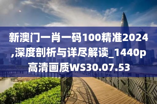 新澳门一肖一码100精准2024,深度剖析与详尽解读_1440p高清画质WS30.07.53