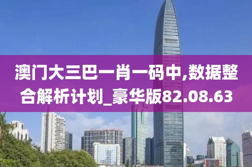 澳门大三巴一肖一码中,数据整合解析计划_豪华版82.08.63