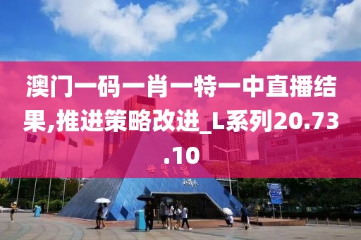 澳门一码一肖一特一中直播结果,推进策略改进_L系列20.73.10
